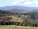 Wierchomla