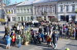 Ubieranie choinek na Rynku