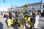 Ubieranie choinek na Rynku