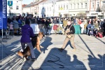 WOŚP
