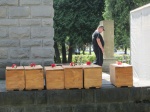 Eshumacja szczątków żołnierzy radzieckich
