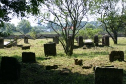 Kirkut