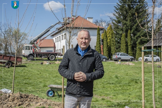 Prezydent Ludomir Handzel na tle nowych zasadzonych drzewek. 
