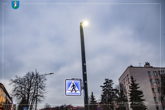 Sygnalizacja Świetlna na przejściu dla pieszych. 