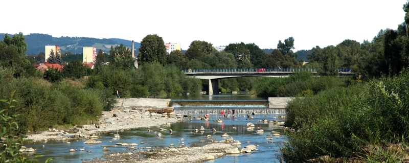 Kamienica