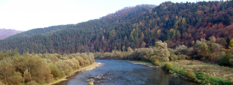 Widok rzeki