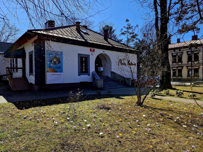 Krokusy