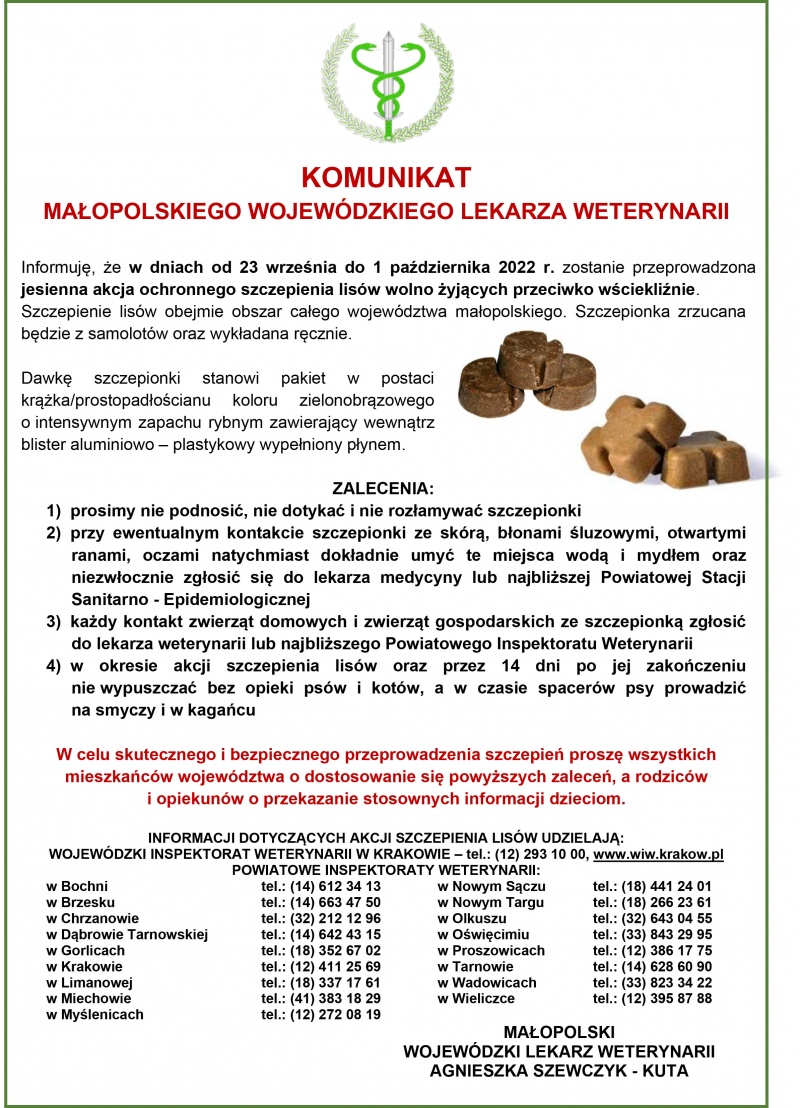 Grafika.