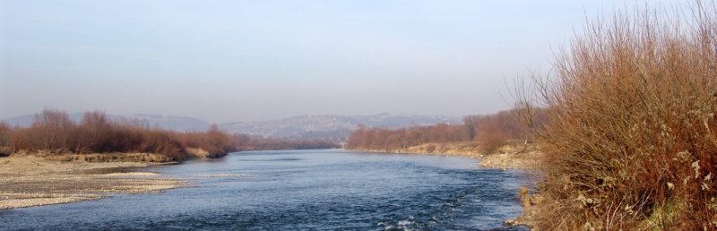 Dunajec